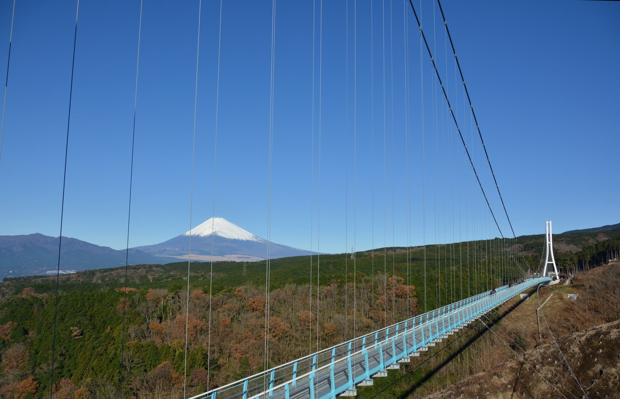 三島スカイウォーク